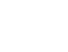 Clyde Premium Shoe Cleaner
