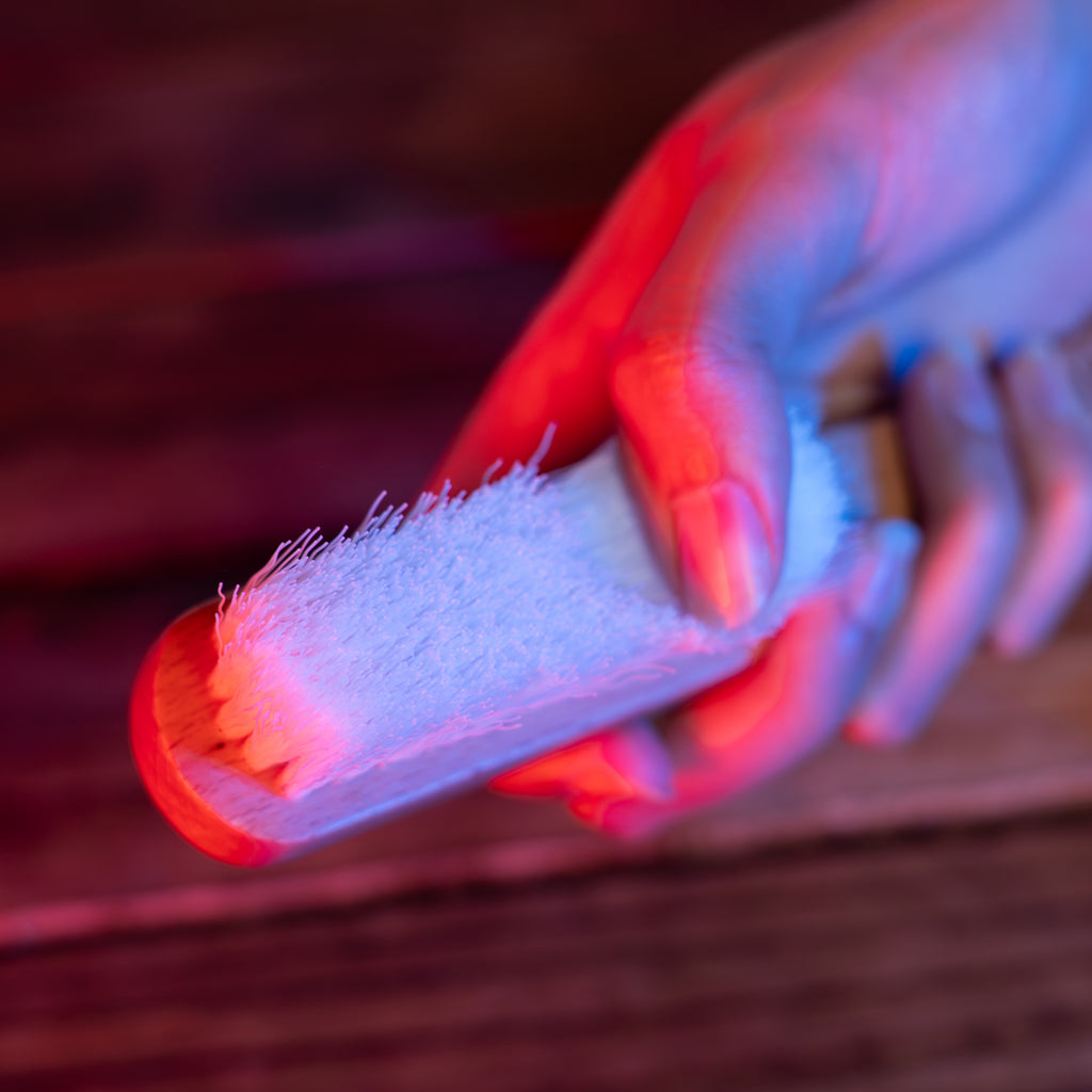 Clyde Shoe Brush Kit