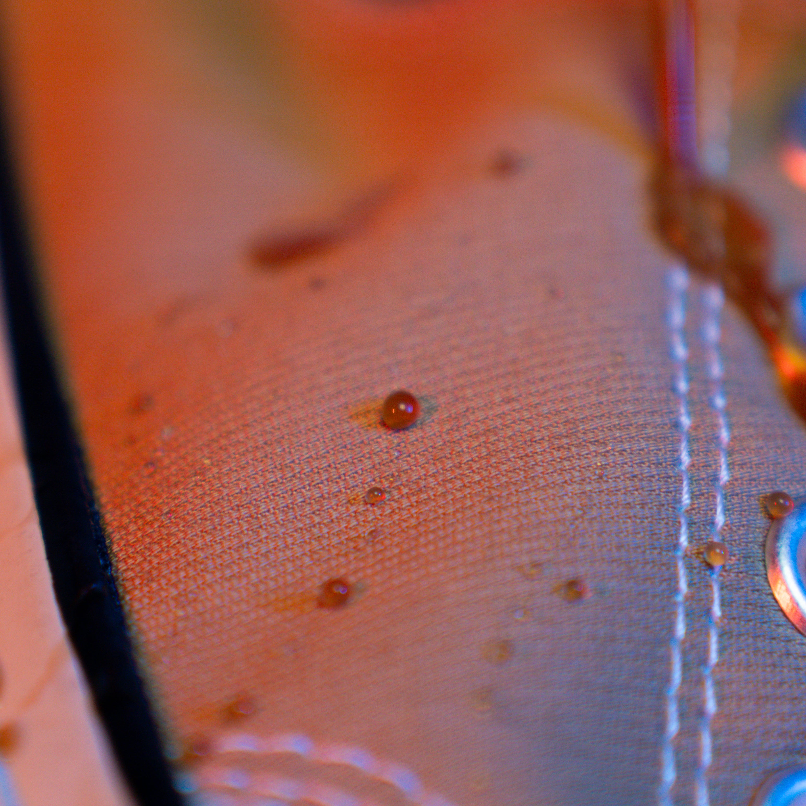 Clyde Water and Stain Repellent