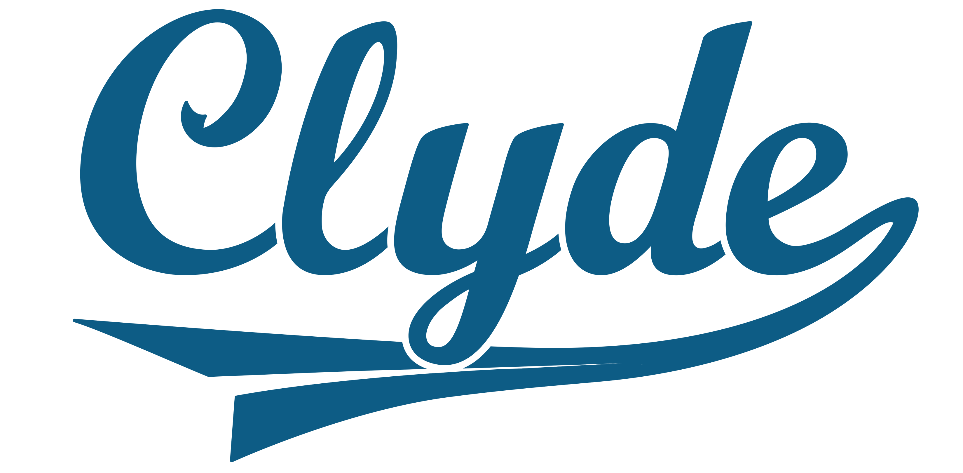 Clyde Premium Shoe Cleaner